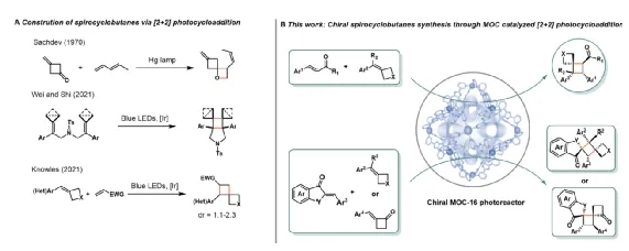 中山大學蘇成勇/胡鵬團隊JACS：籠限域不對稱光催化實現高張力多手性螺環丁烷的合成
